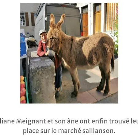 Maison Avec Ou Sans Ses Petits Du Lauzun